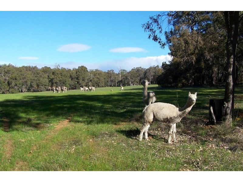 470 Reen Road, Gidgegannup WA 6083