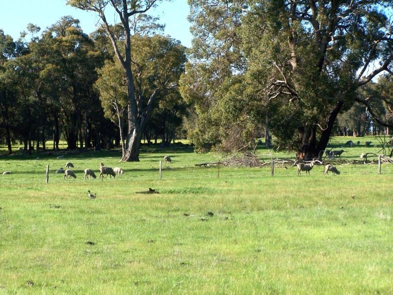 470 Reen Road, Gidgegannup WA 6083