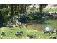 Lot 433, 620 Reen Road, Gidgegannup WA 6083