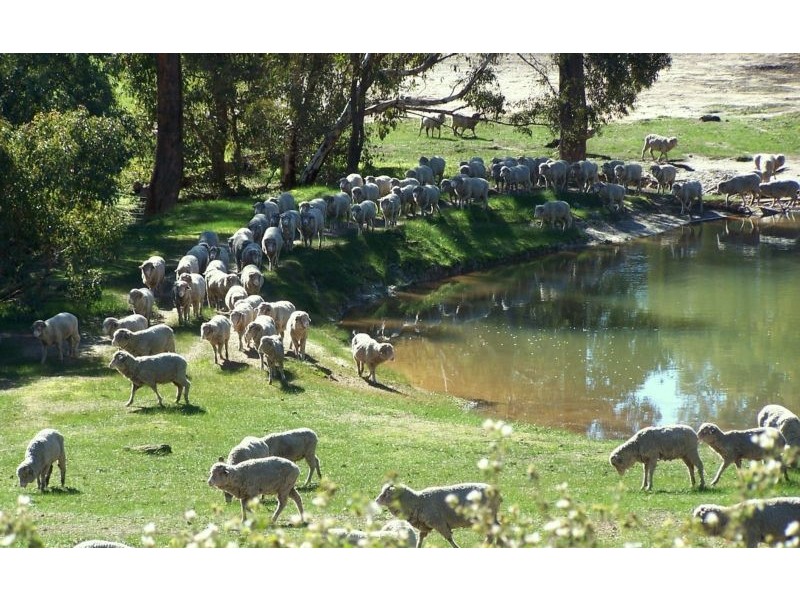 Lot 433, 620 Reen Road, Gidgegannup WA 6083