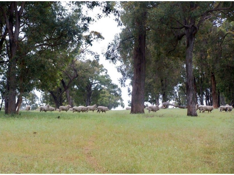 Lot 433, 620 Reen Road, Gidgegannup WA 6083