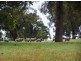 Lot 433, 620 Reen Road, Gidgegannup WA 6083