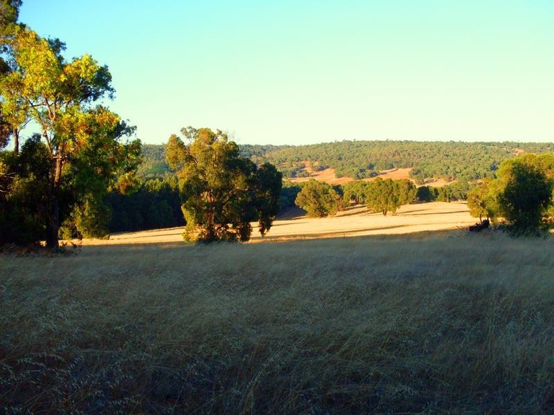 Lot 405,  Toodyay Road, Gidgegannup WA 6083