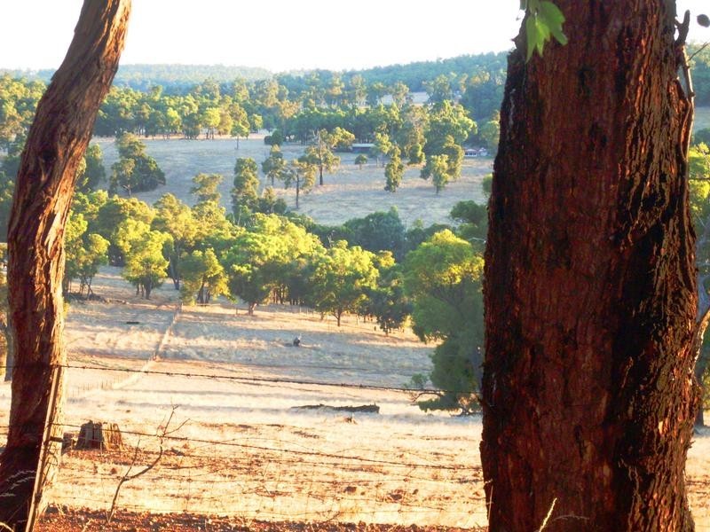 Lot 405,  Toodyay Road, Gidgegannup WA 6083
