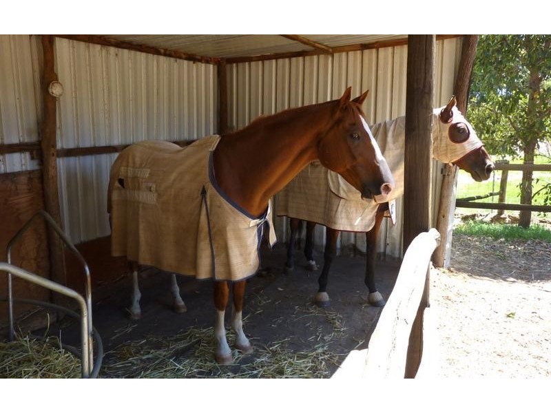 82 Country Road, Gidgegannup WA 6083