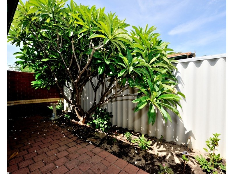 3/17 Wheatley Street, Gosnells WA 6110