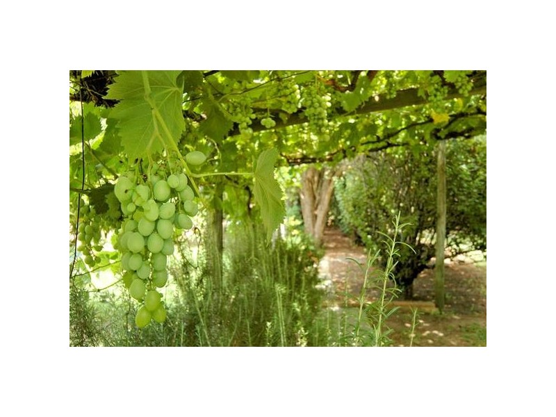 168 George St, West Swan WA 6055