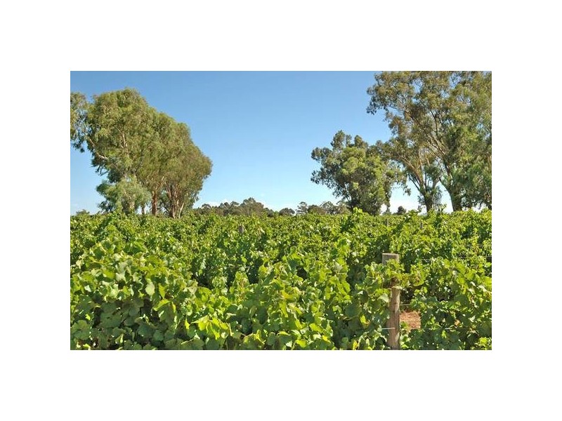 168 George St, West Swan WA 6055