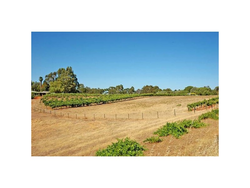 168 George St, West Swan WA 6055