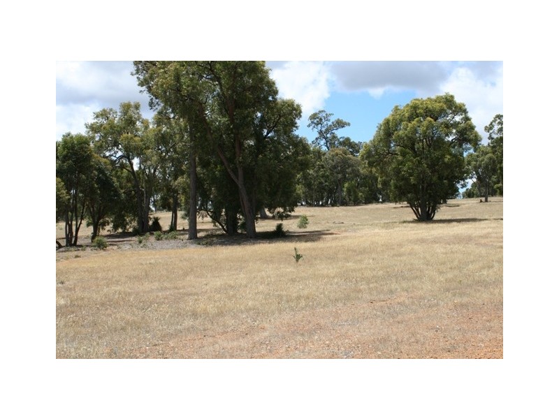 380 Clenton Road, Gidgegannup WA 6083