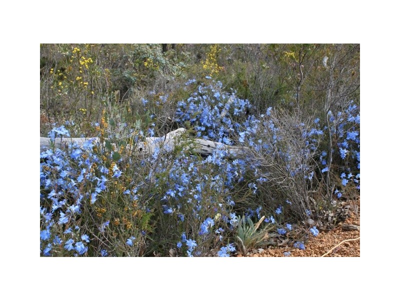 380 Clenton Road, Gidgegannup WA 6083