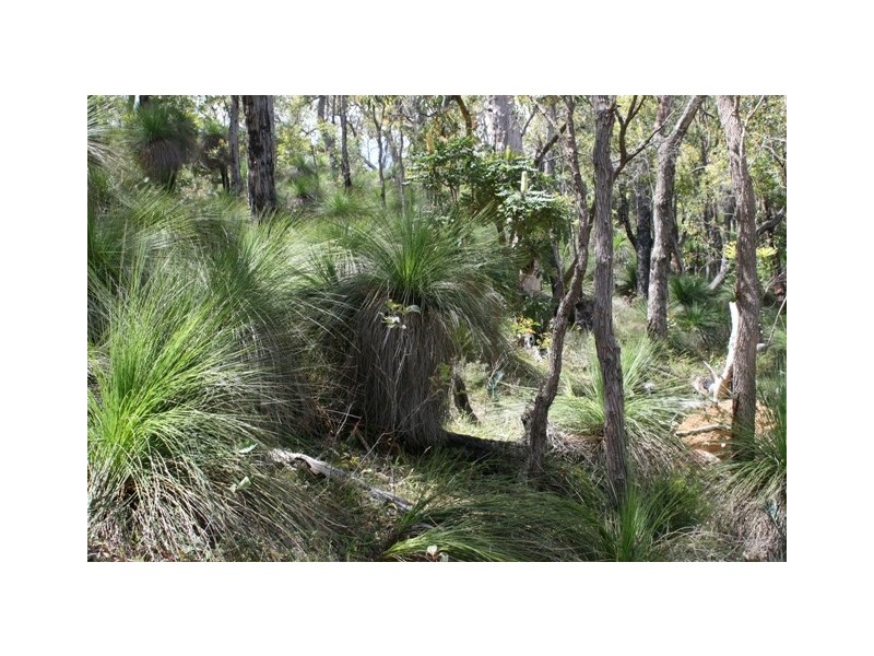 380 Clenton Road, Gidgegannup WA 6083