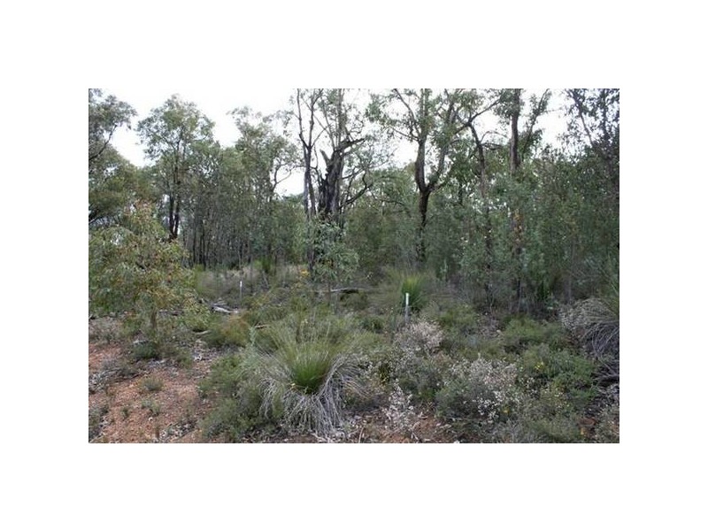 2 Clenton Road, Gidgegannup WA 6083