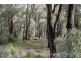 9 Clenton Road, Gidgegannup WA 6083