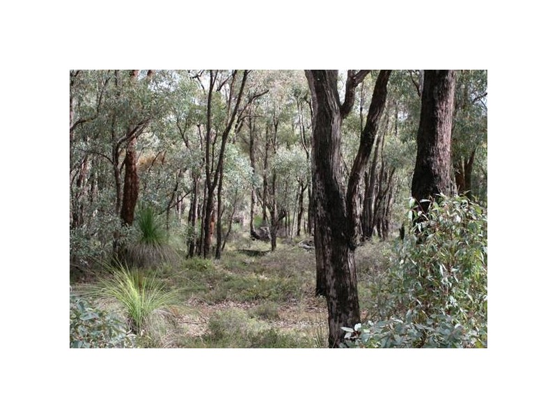 9 Clenton Road, Gidgegannup WA 6083