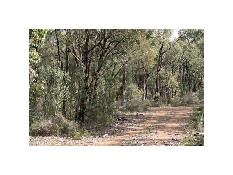 10 Clenton Road, Gidgegannup WA 6083