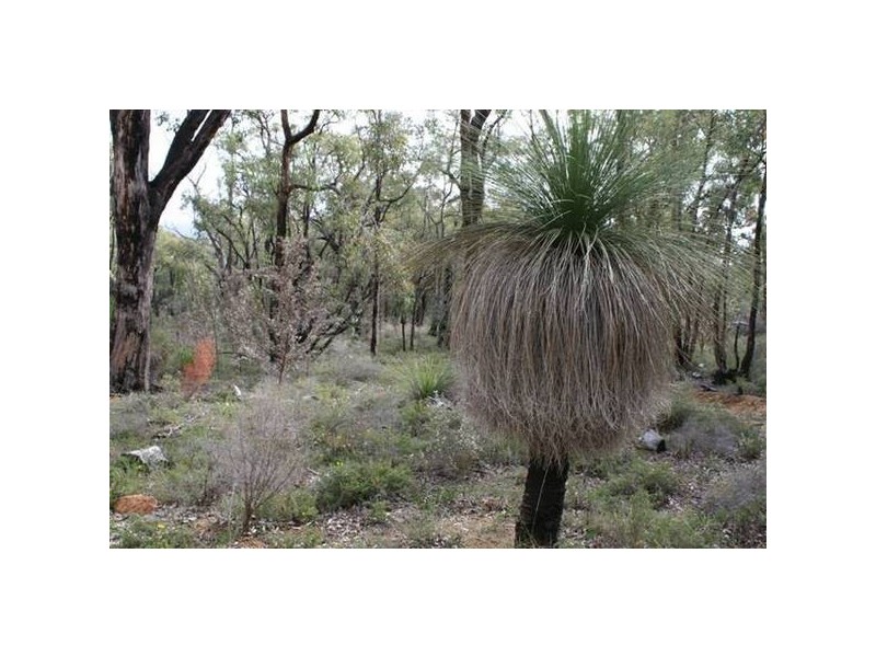 10 Clenton Road, Gidgegannup WA 6083