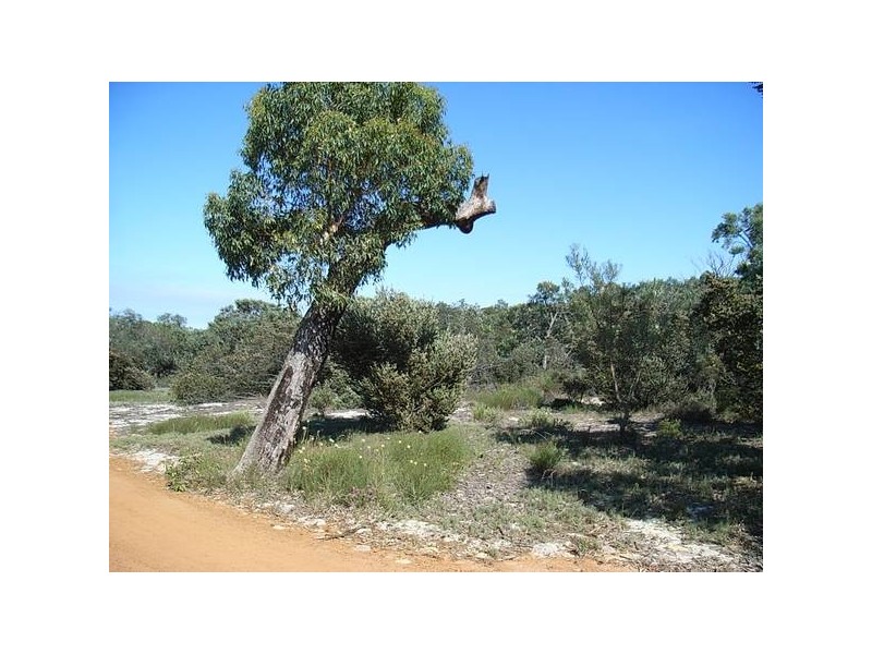 Morrissey Road, Bullsbrook WA 6084