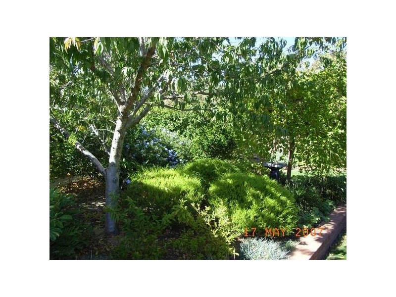 Pagnell Way, Swan View WA 6056