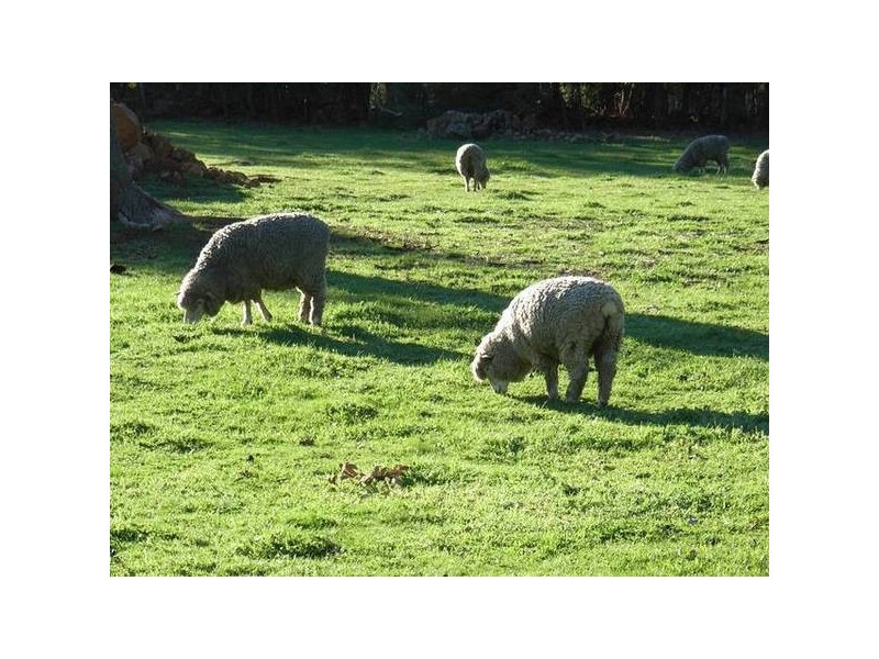 400 Dinsdale Road, Gidgegannup WA 6083