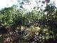 Mundaring WA 6073