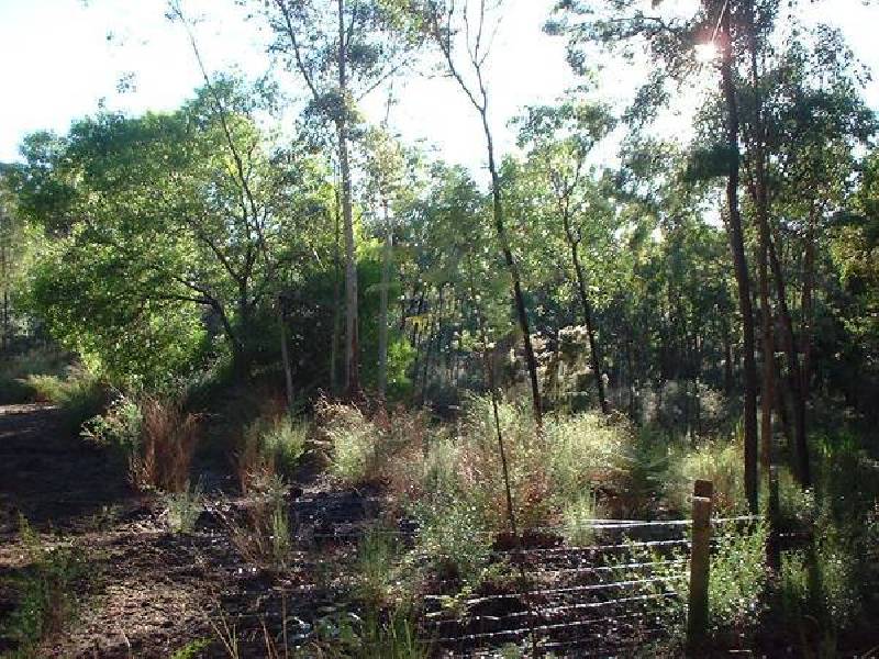 Mundaring WA 6073