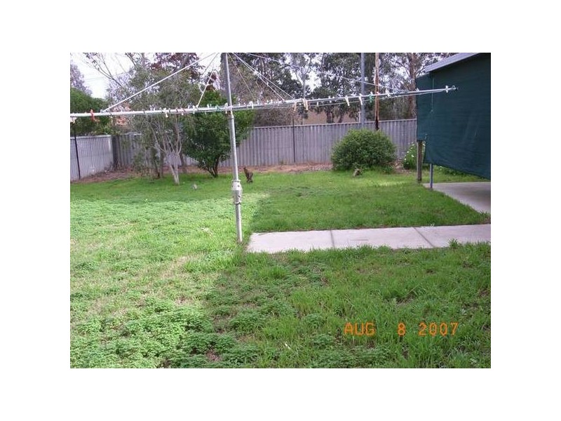 Norman Street, Bellevue WA 6056