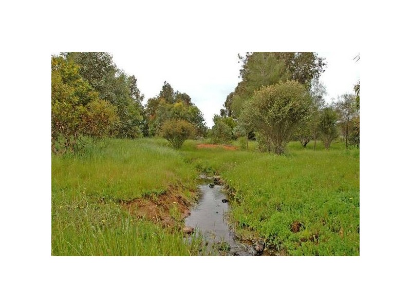 364 Lilydale Road, Gidgegannup WA 6083