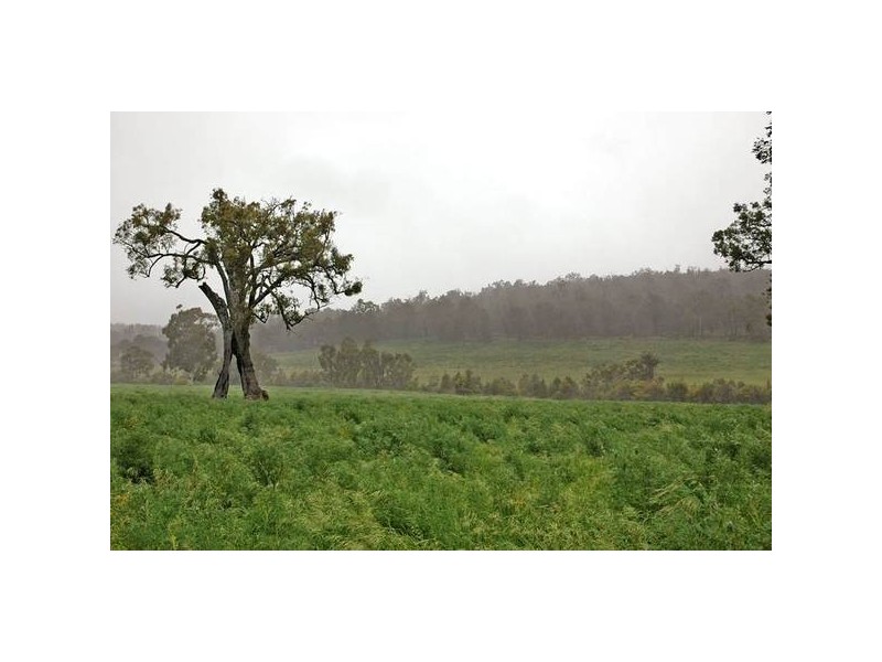 364 Lilydale Road, Gidgegannup WA 6083