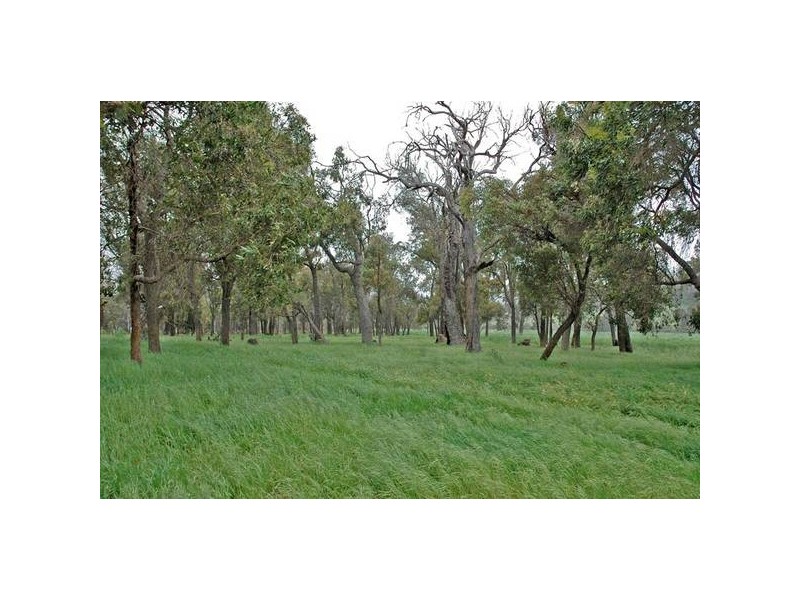 364 Lilydale Road, Gidgegannup WA 6083