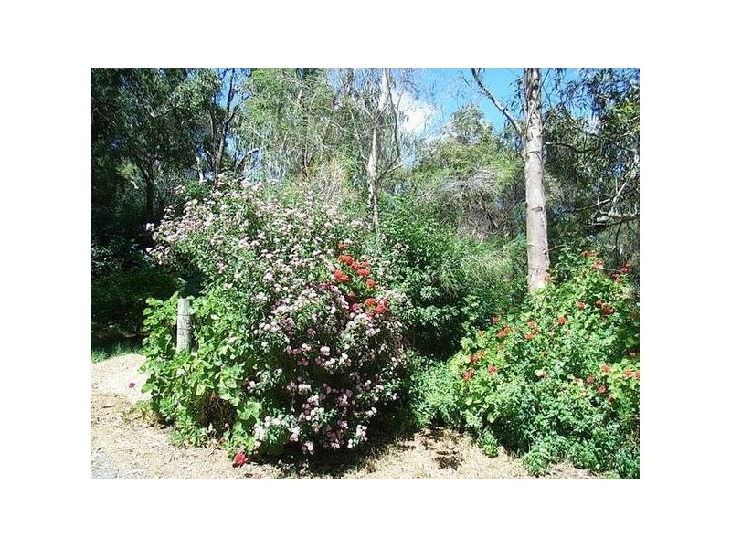 17 Lobelia Drive, Darlington WA 6070