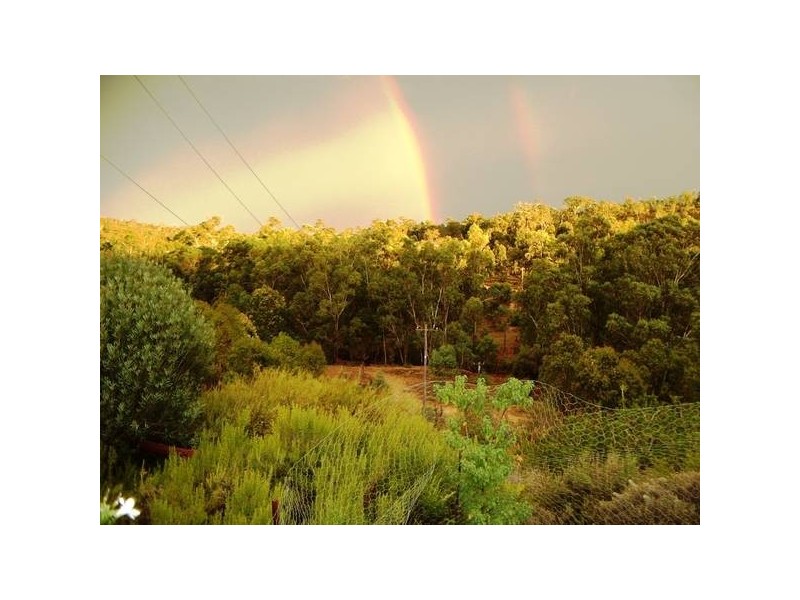 913 Reen Road, Gidgegannup WA 6083