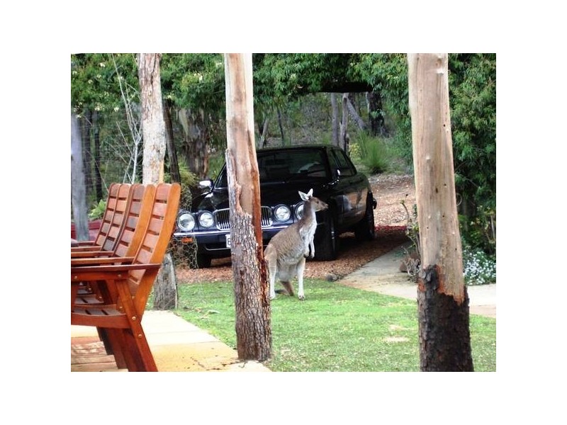 913 Reen Road, Gidgegannup WA 6083