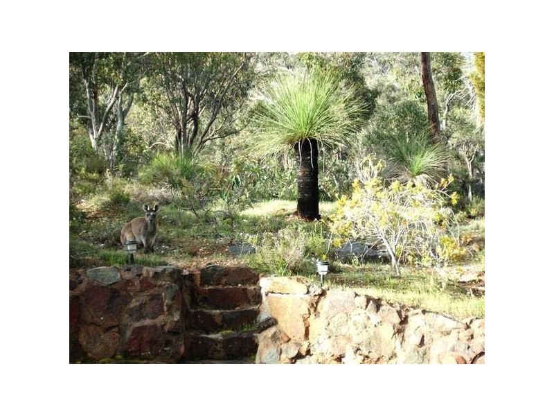 913 Reen Road, Gidgegannup WA 6083