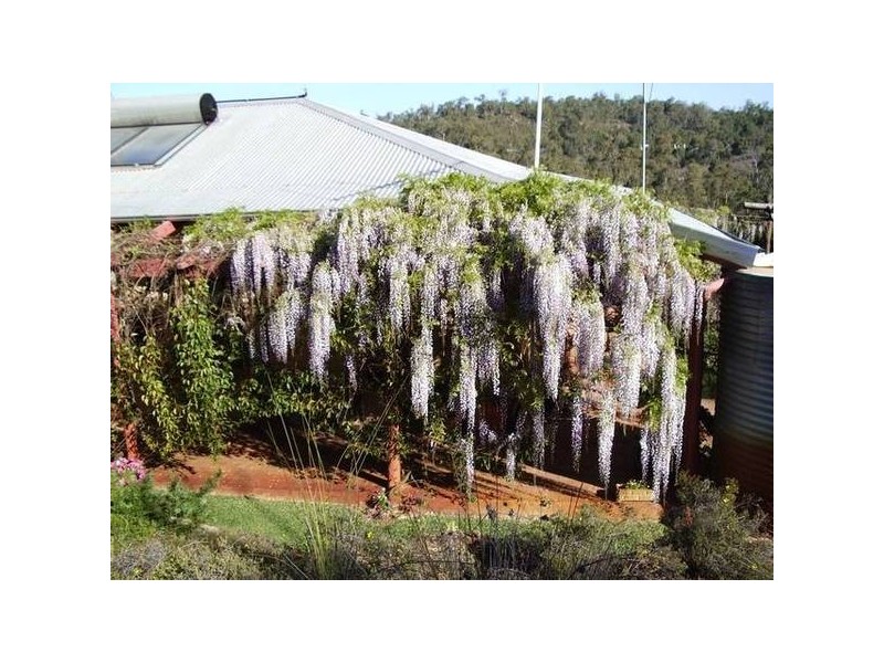 913 Reen Road, Gidgegannup WA 6083