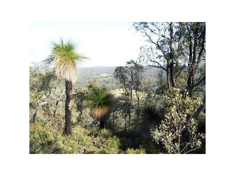 913 Reen Road, Gidgegannup WA 6083