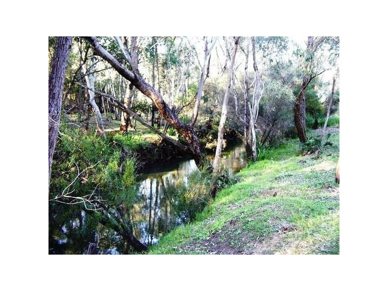 913 Reen Road, Gidgegannup WA 6083