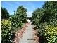 22 Bushby Street, Midvale WA 6056