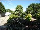 22 Bushby Street, Midvale WA 6056