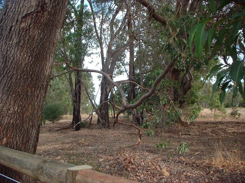 99 Cook Street,, Mount Helena WA 6082