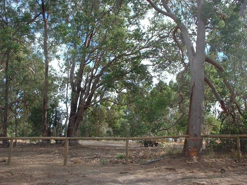 99 Cook Street,, Mount Helena WA 6082