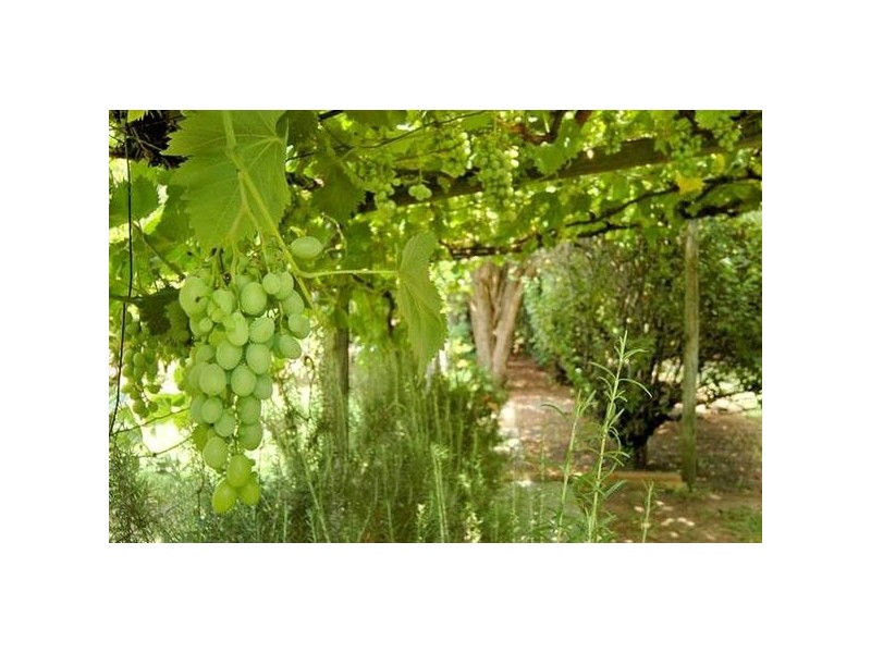 168 George Street, West Swan WA 6055