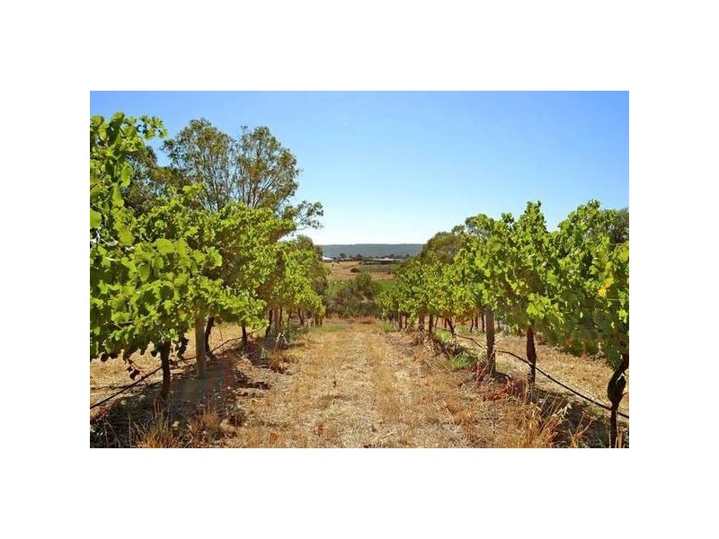 168 George Street, West Swan WA 6055