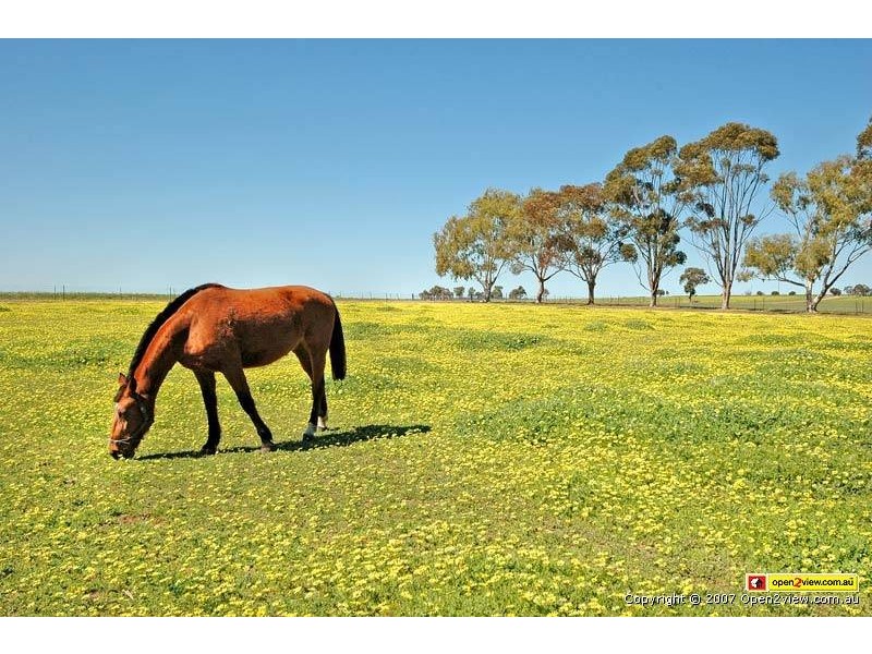 4876 Bindi Bindi – Toodyay Road, Bolgart WA 6568