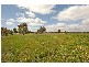 80 Haddrill Road, Baskerville WA 6056