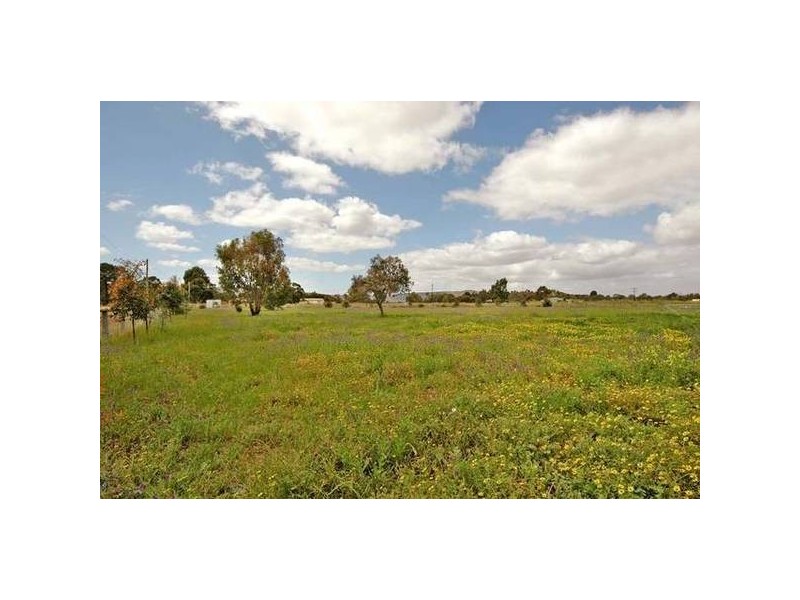 80 Haddrill Road, Baskerville WA 6056