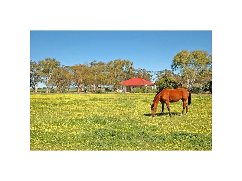 4876 Bindi Bindi – Toodyay Road, Wyening WA 6568