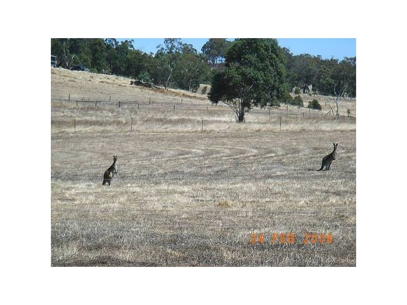 237 Alawoona Circle, Bullsbrook WA 6084