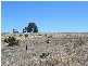 237 Alawoona Circle, Bullsbrook WA 6084