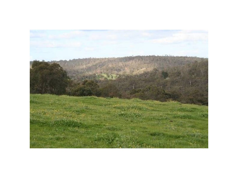 312 Reen Road, Gidgegannup WA 6083